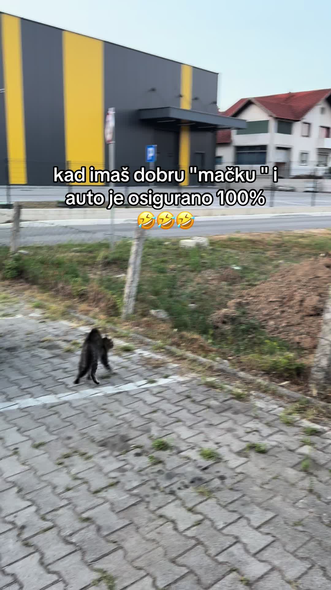 @Semko thedoctor