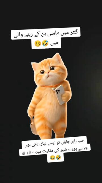 @S𝚝yᄂᵢ𝘴𝓱 Gᵢᵣᄂ❤️||