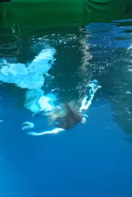 @Lexie Mermaid