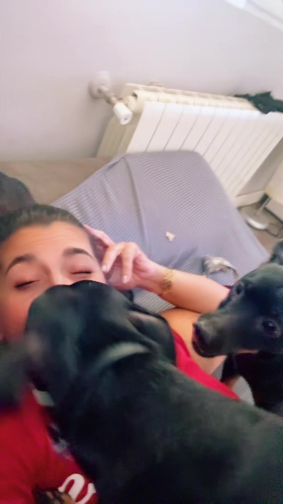 @PanDOGuitos 🐶