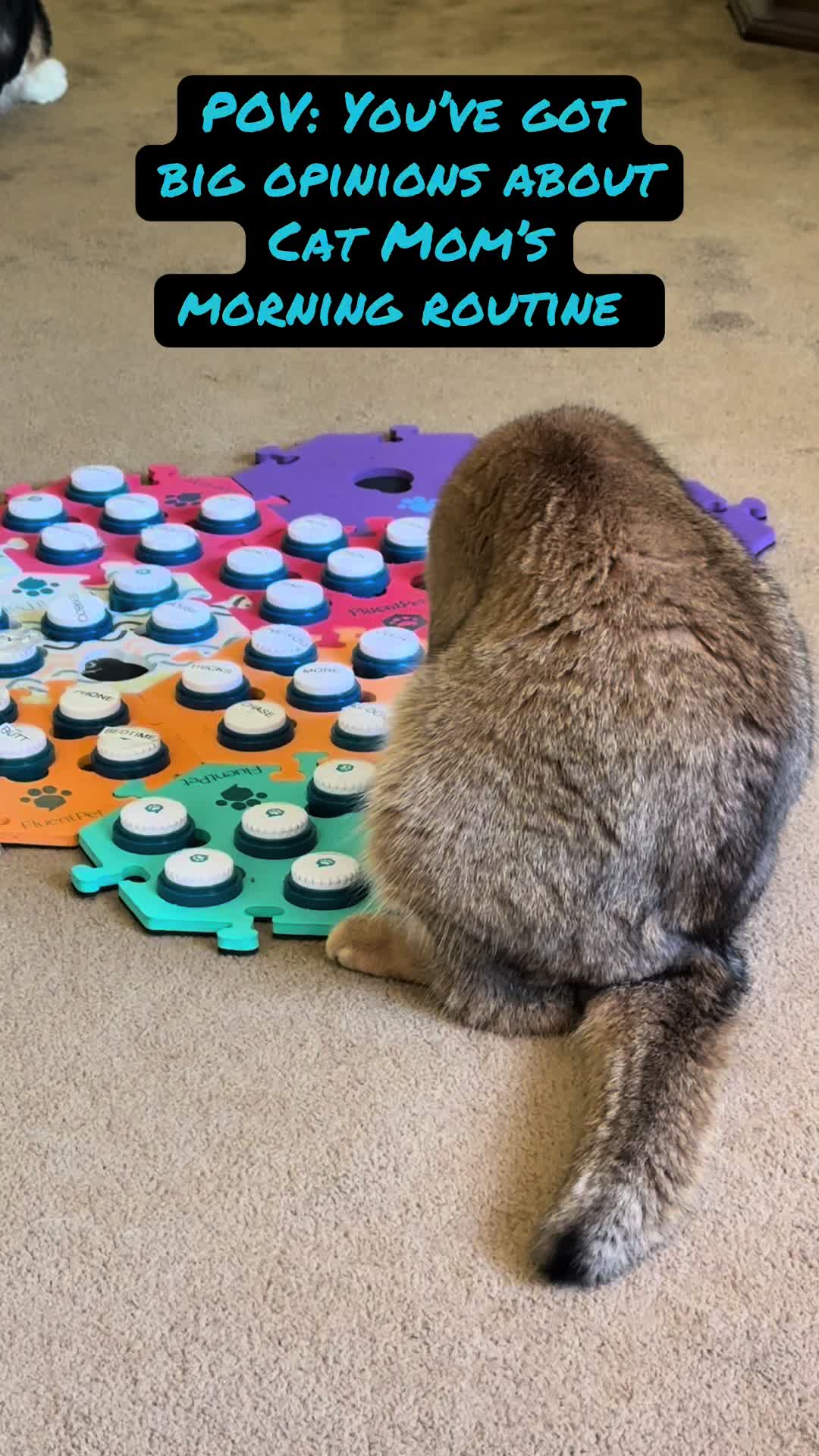 @Puffindoestricks