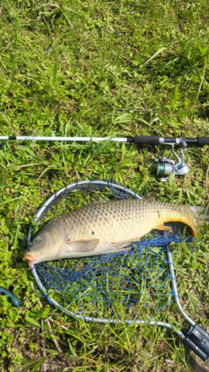 @ohio_fishermn76