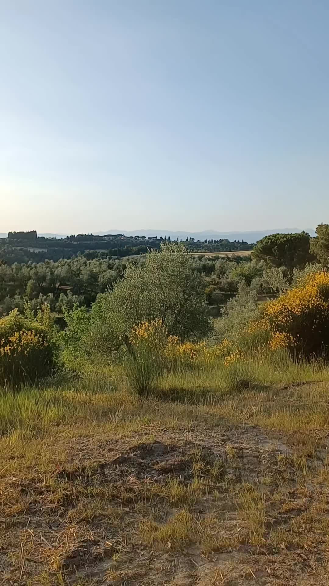 @Gianluca Bianchi