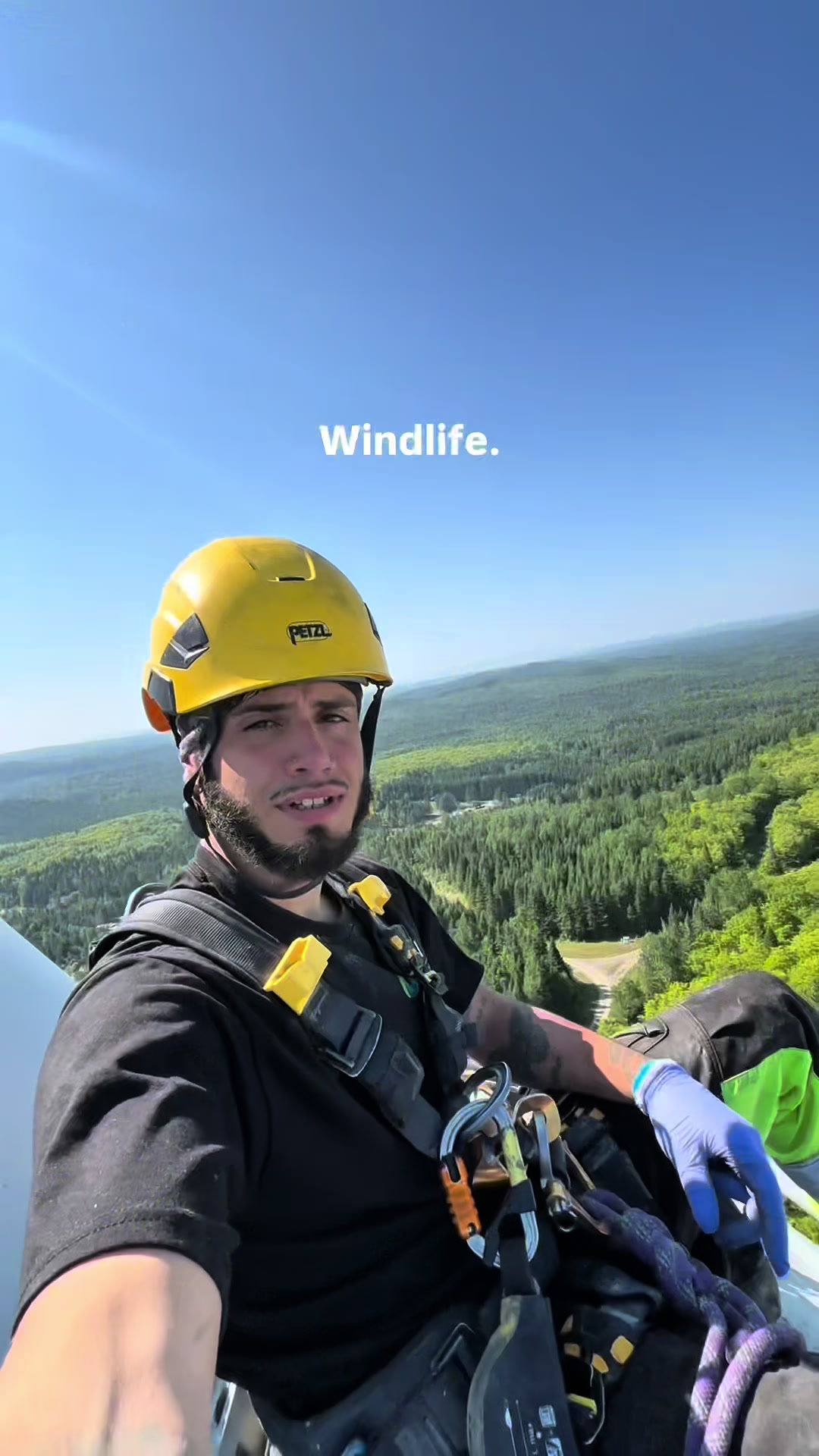 @icg.wind