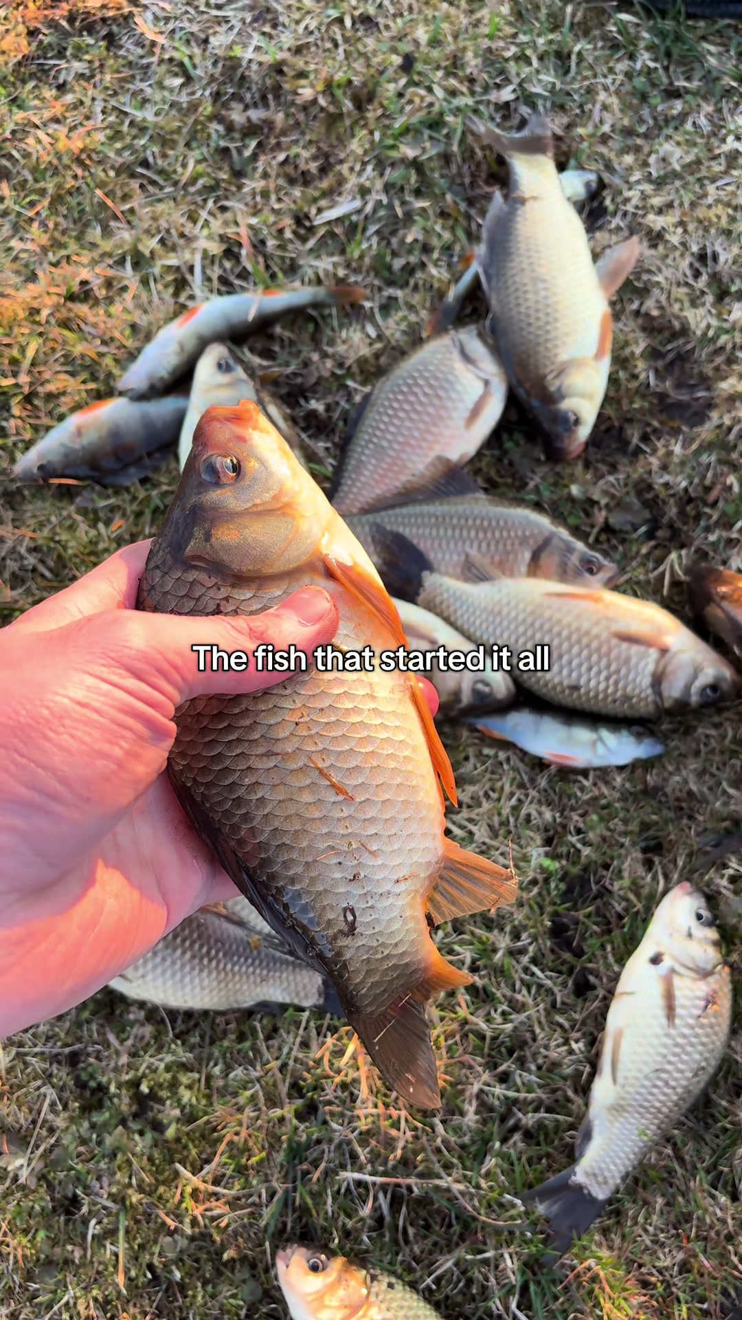 @Fishing With Alekss 🎣💎