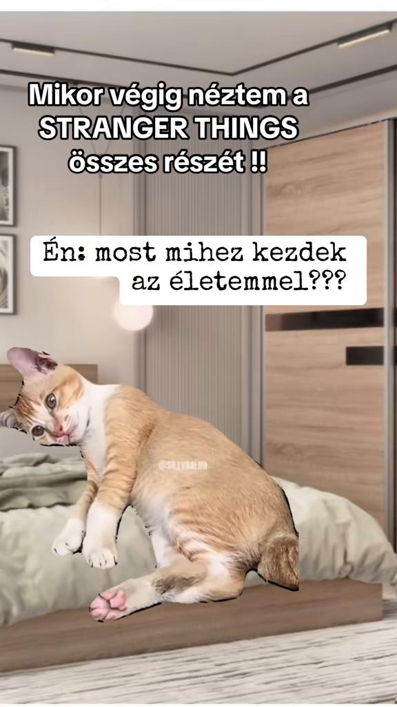 @Nikoletta Németh