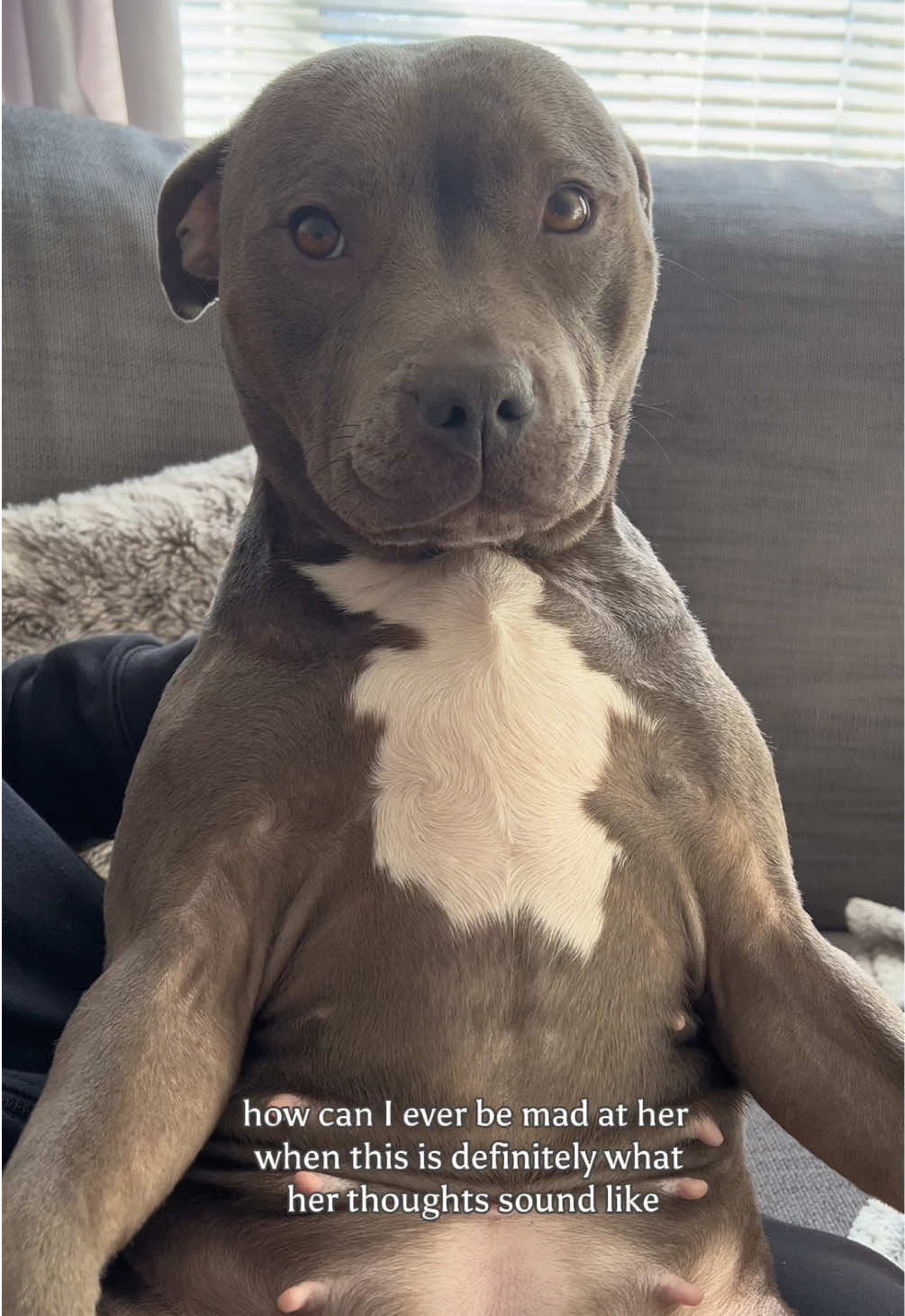 @Myla.thebluestaffy🤍