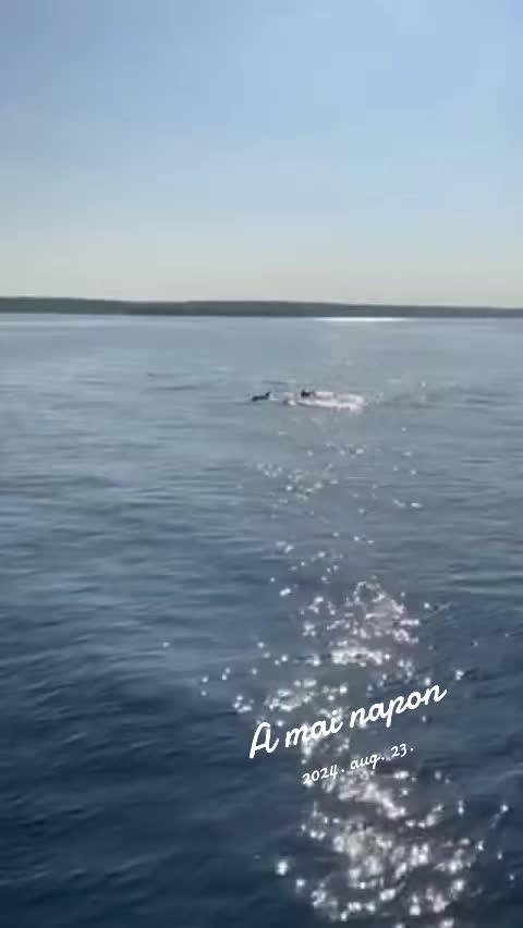 @Makovinyi Mih&aacute;ly✅️🎣🐟