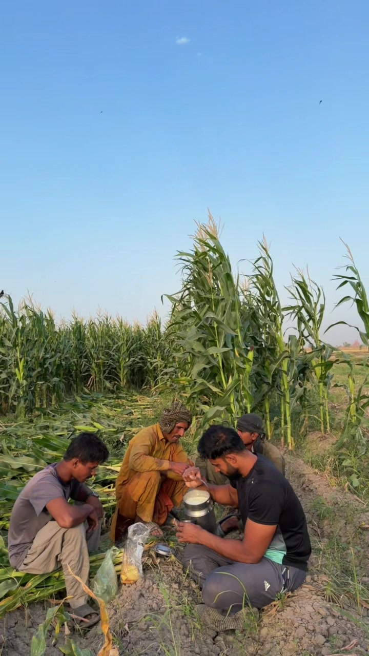 @waqarbhinder852