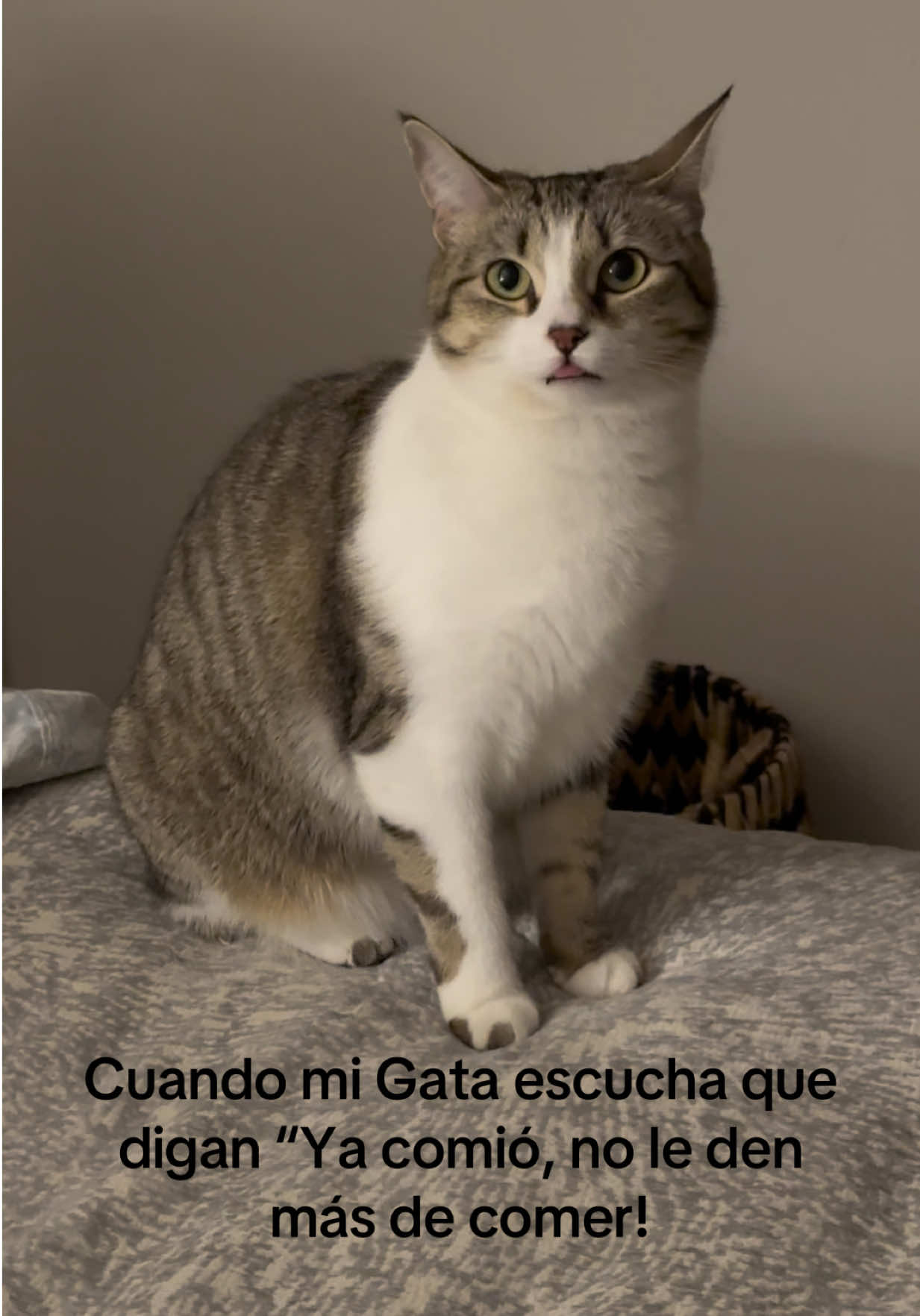 @Lupito