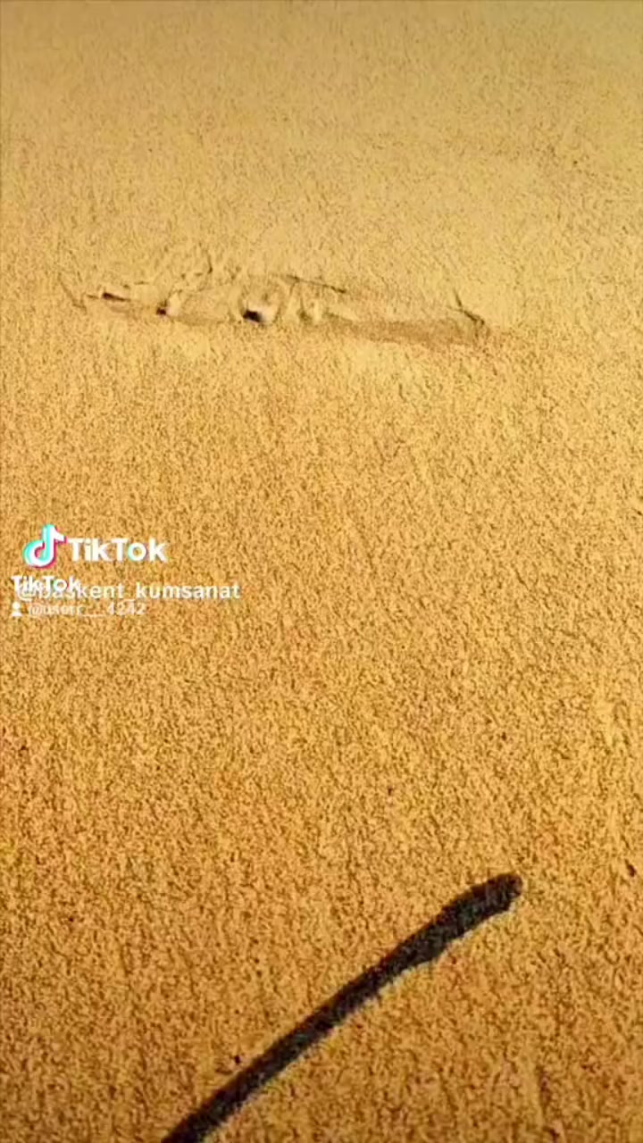 @bnzrdaglii4343_