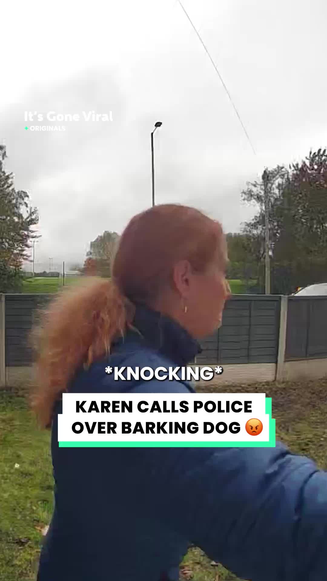 @Go Fetch