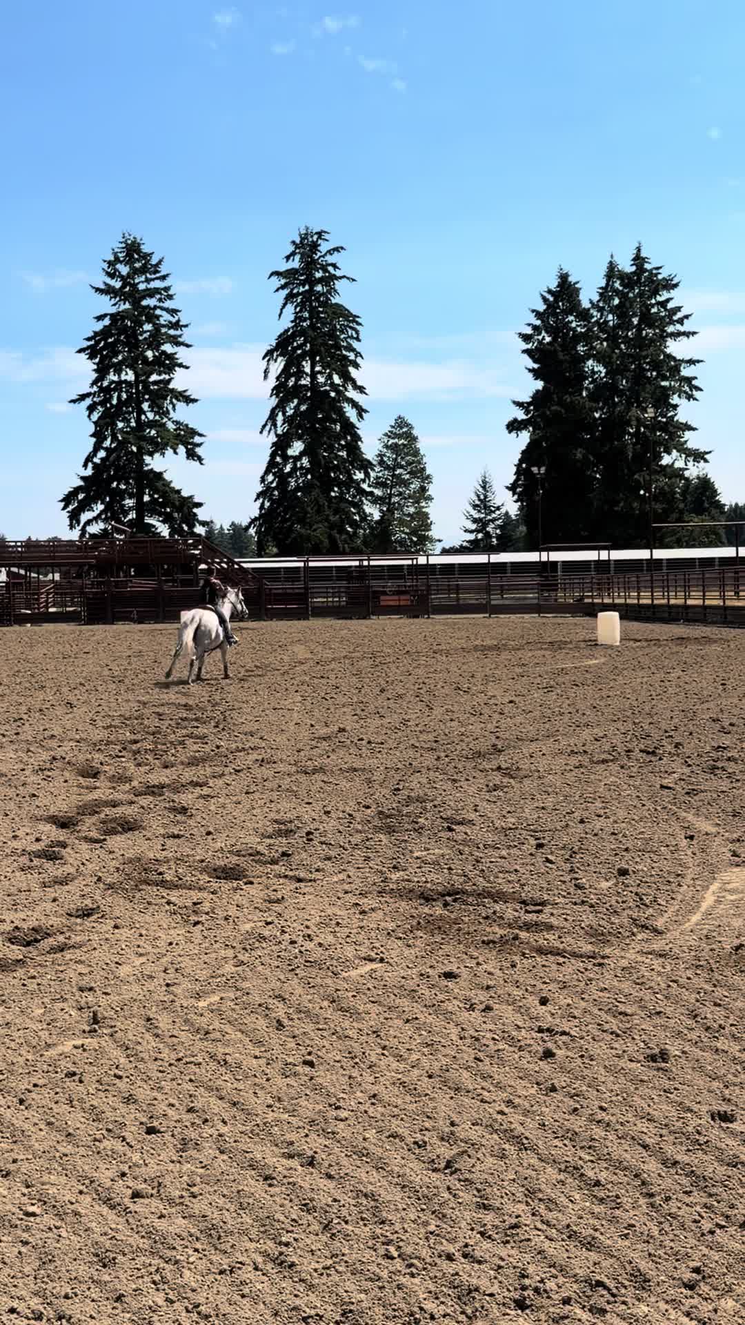 @TF Performance Horses