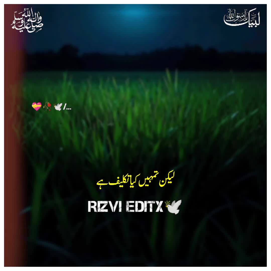 @Rizvi editx 🕊️