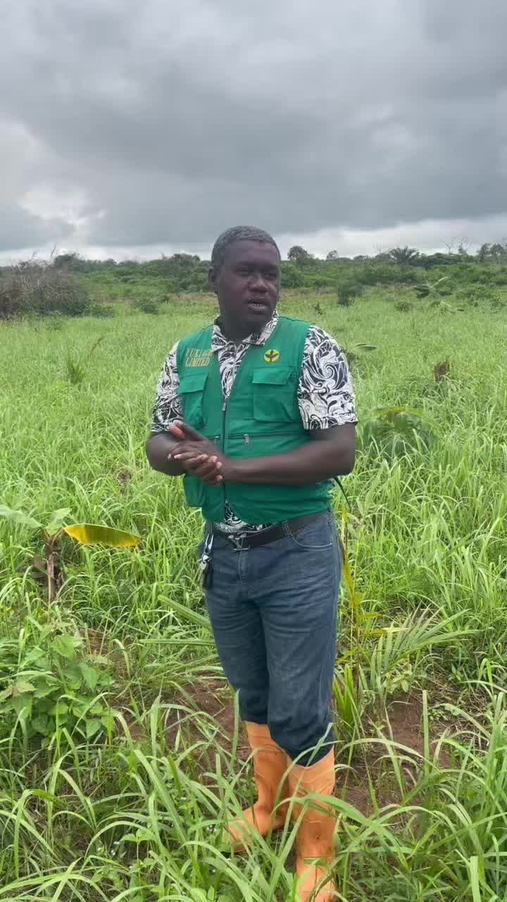 @BabaObaTv @Yuki Agro limited