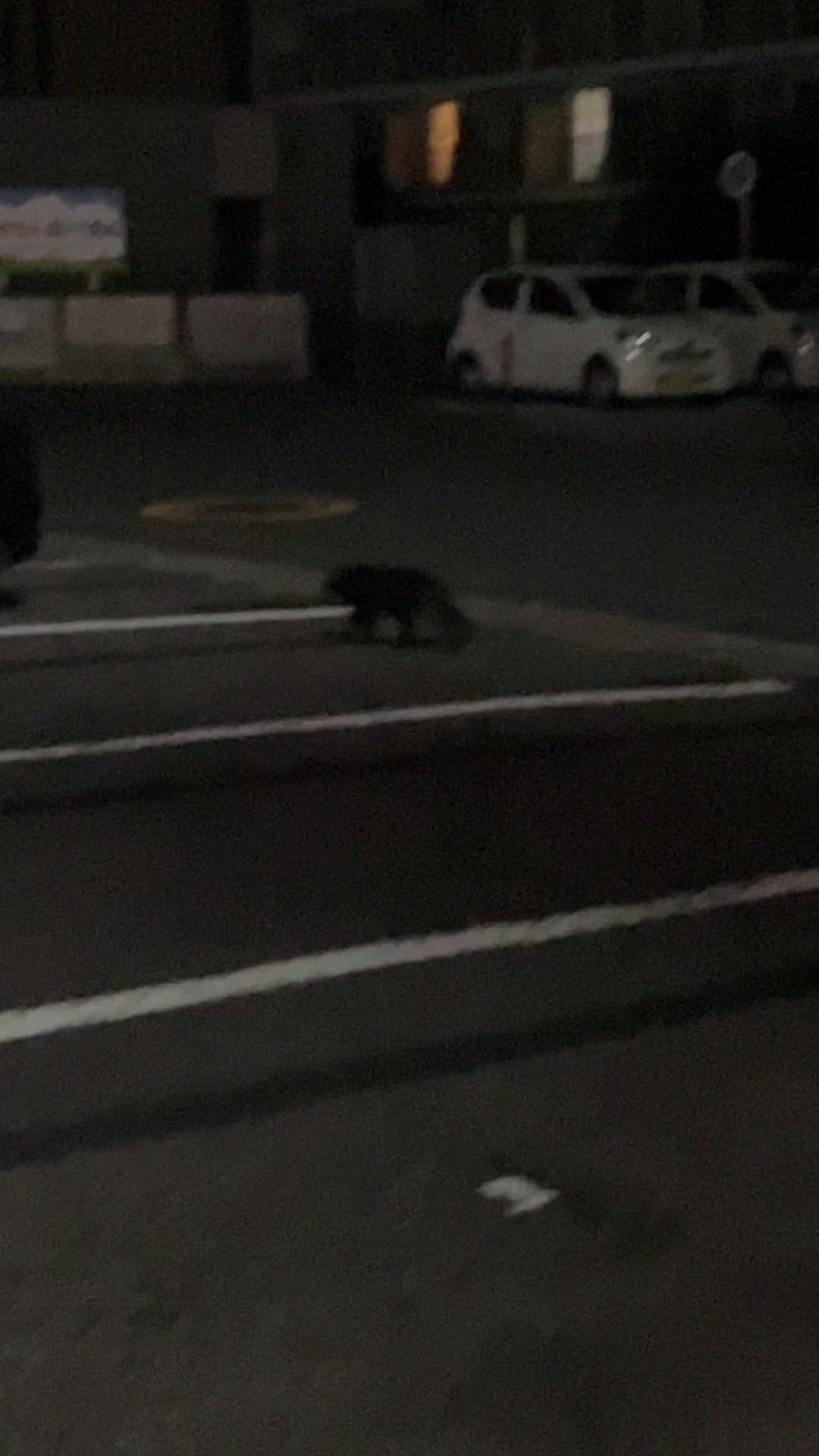 @猫型スネえもん🐳