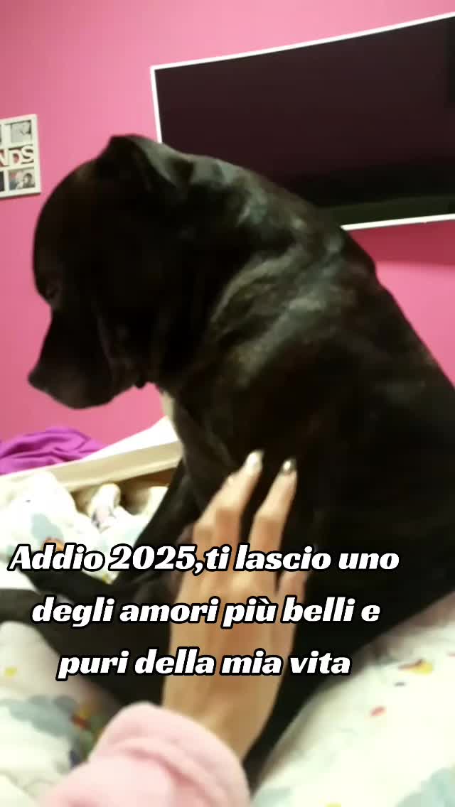 @Federica