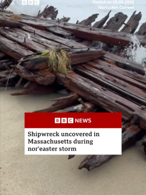 @BBC News