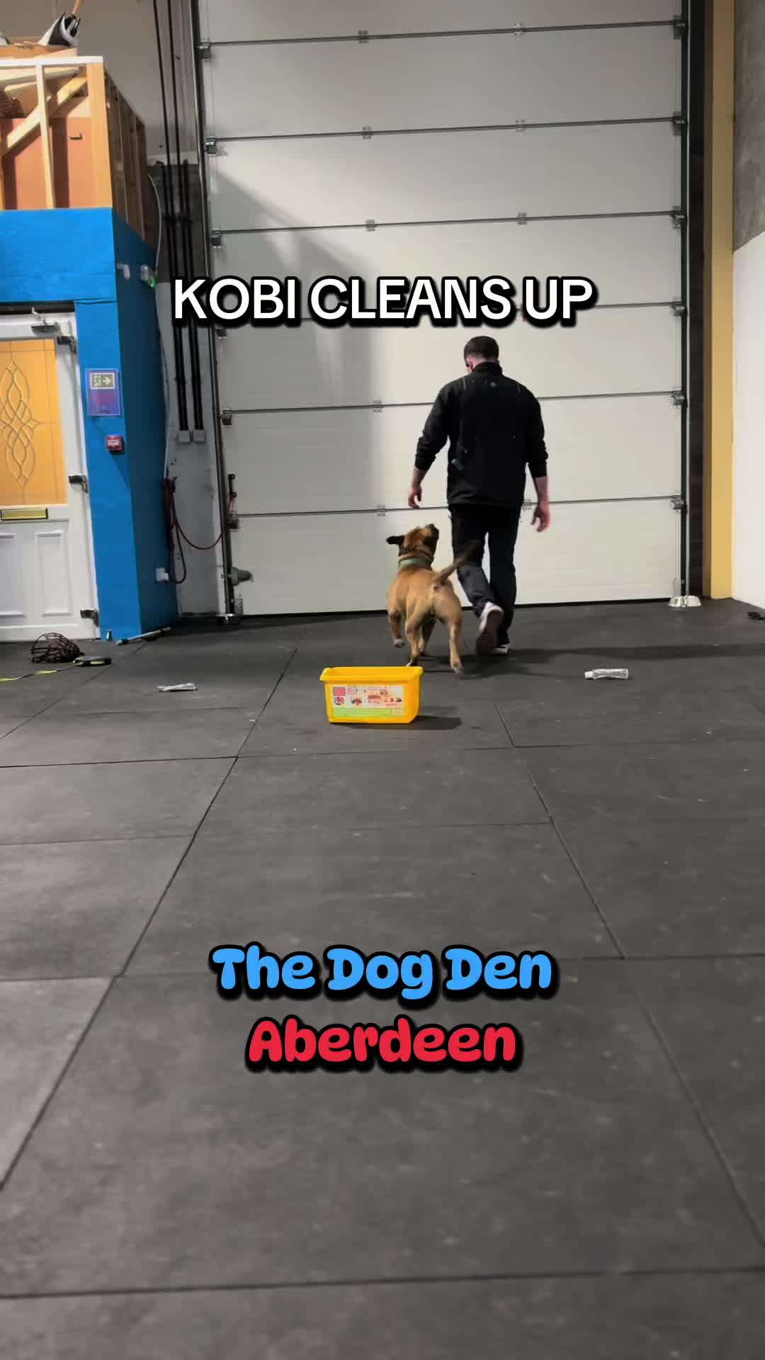 @Michael || Dog Trainer