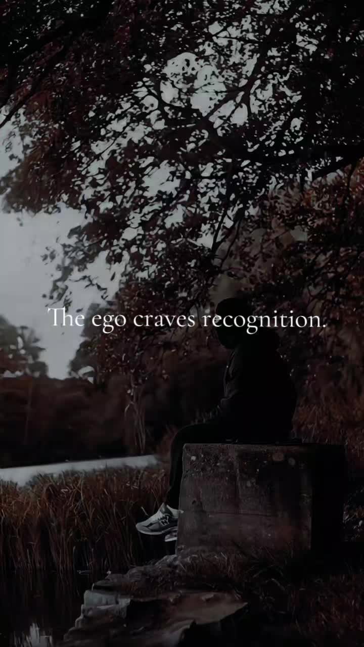 @Shadow Motivation