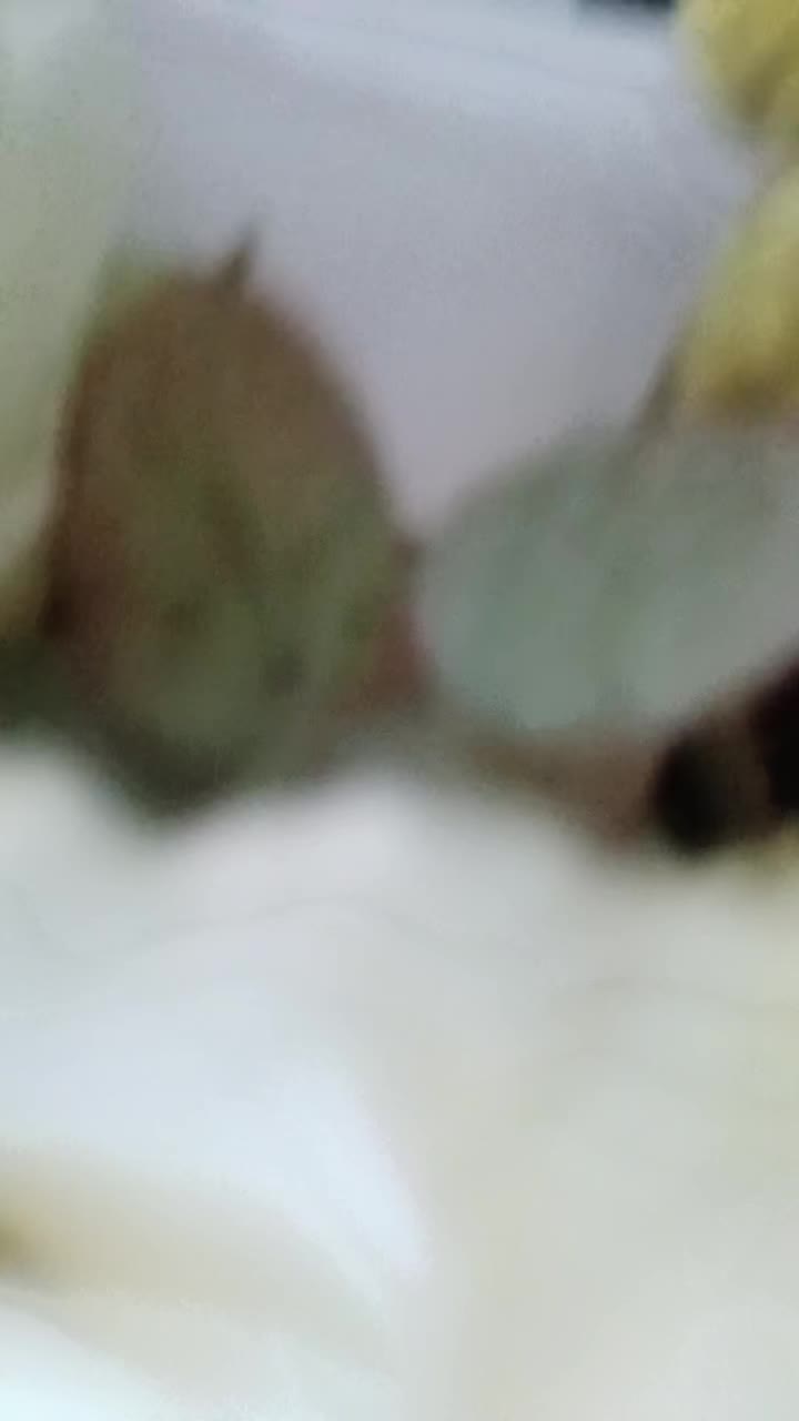 @kudlata_dj023