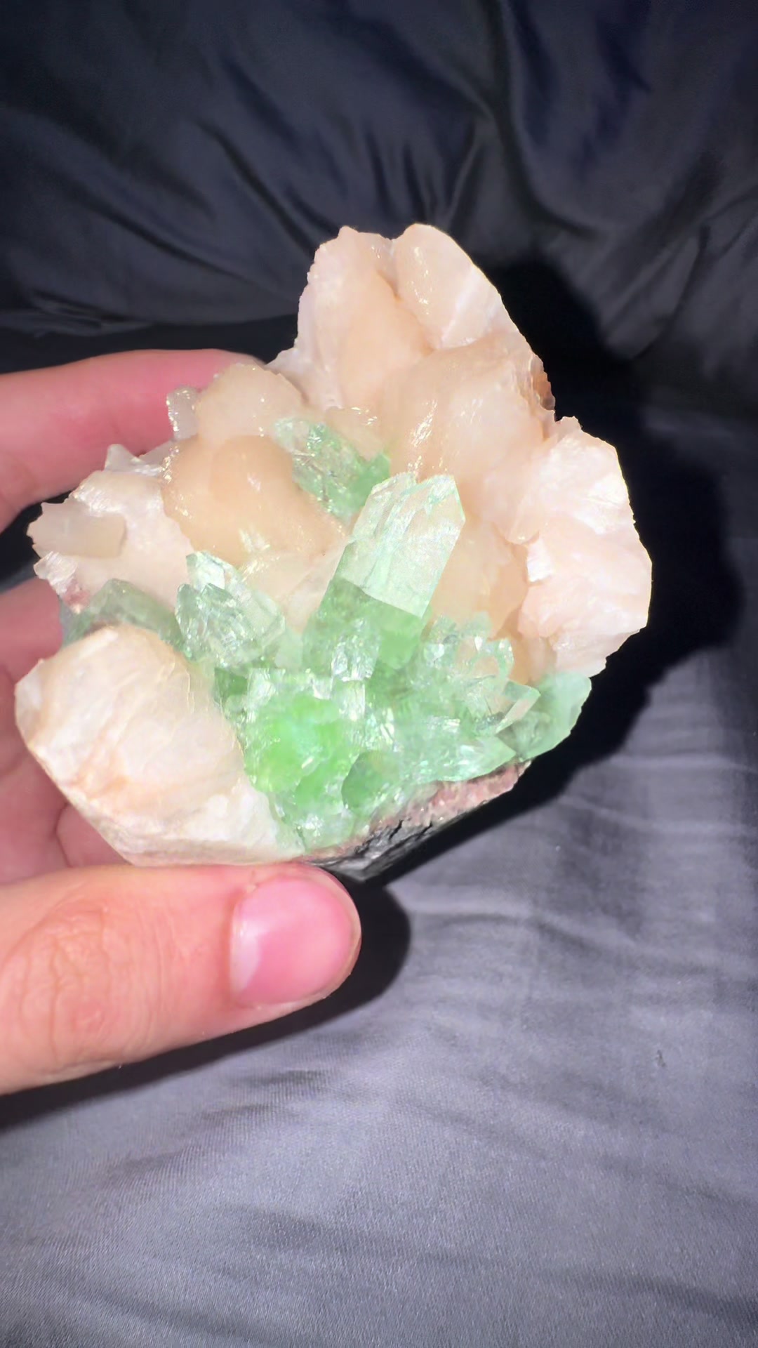@AidansFossils.Fish.Minerals