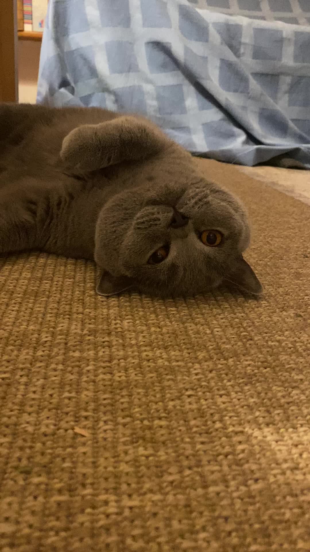 @๐ธ