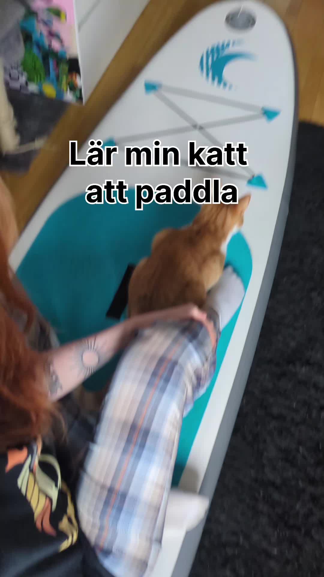 @Stridsvagnes