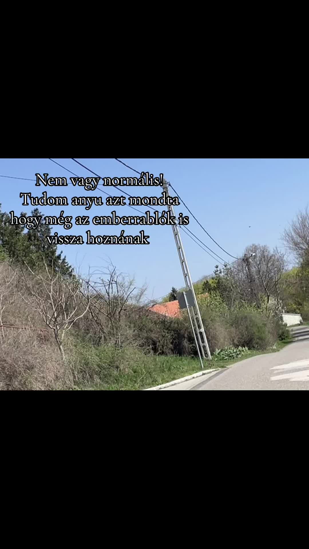 @✨B✨