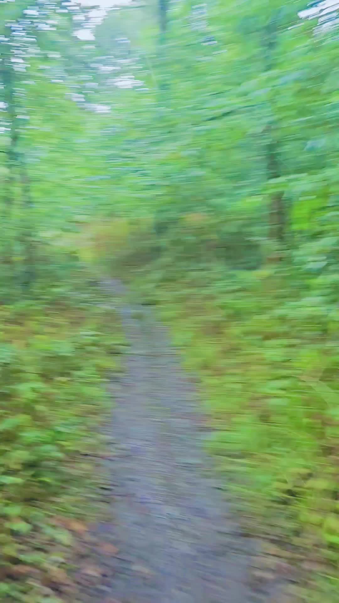 @🌌Ĵõĥŋ🌌Çŕąìğ🌌Ăďąm🌌