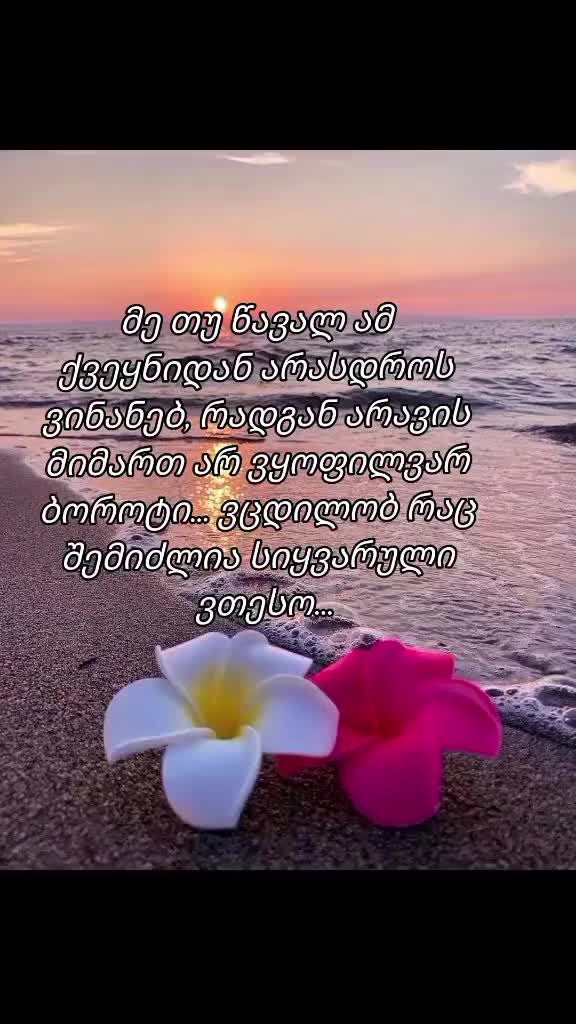 @TEKO๐ฆ๐ค