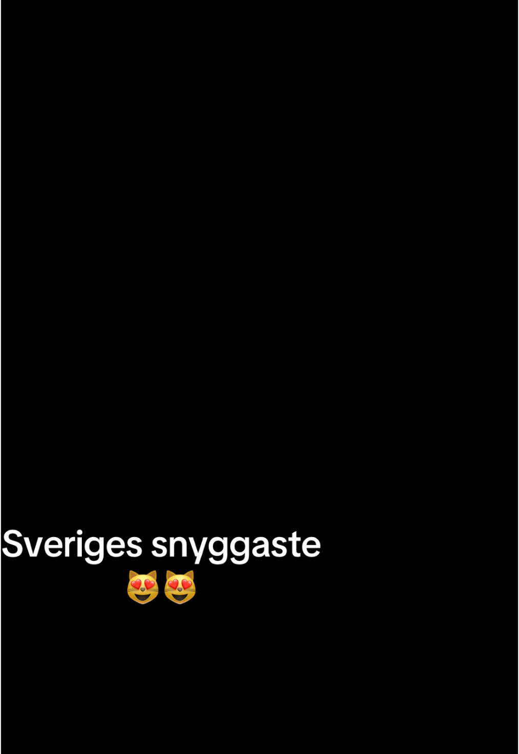 @Sveriges Snyggaste