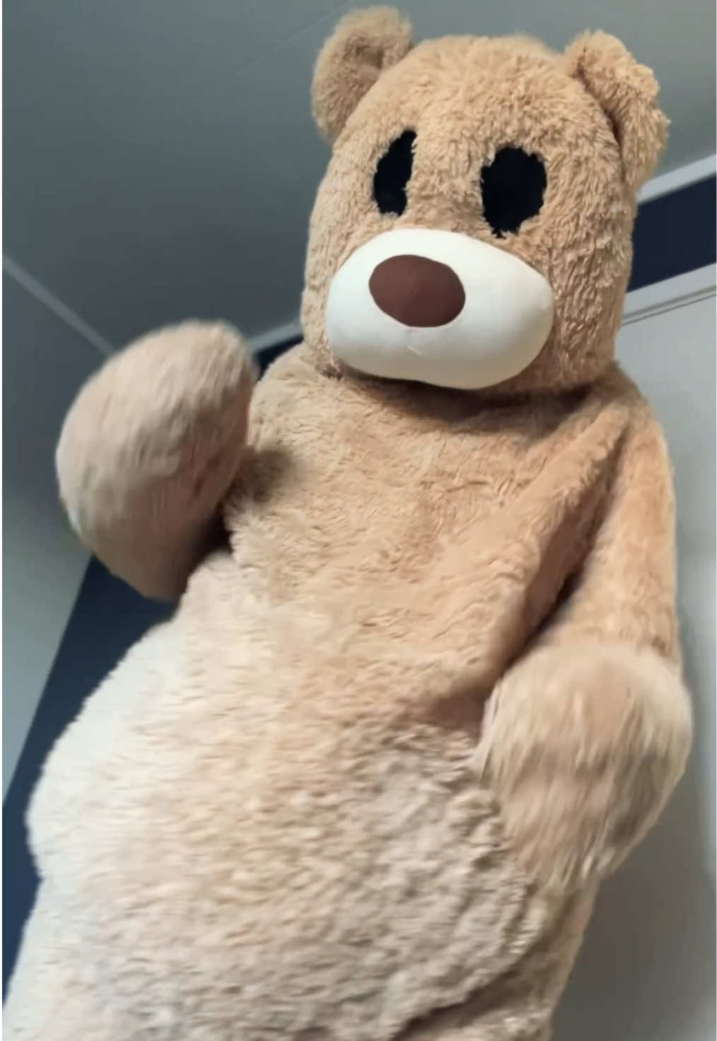 @teddytok