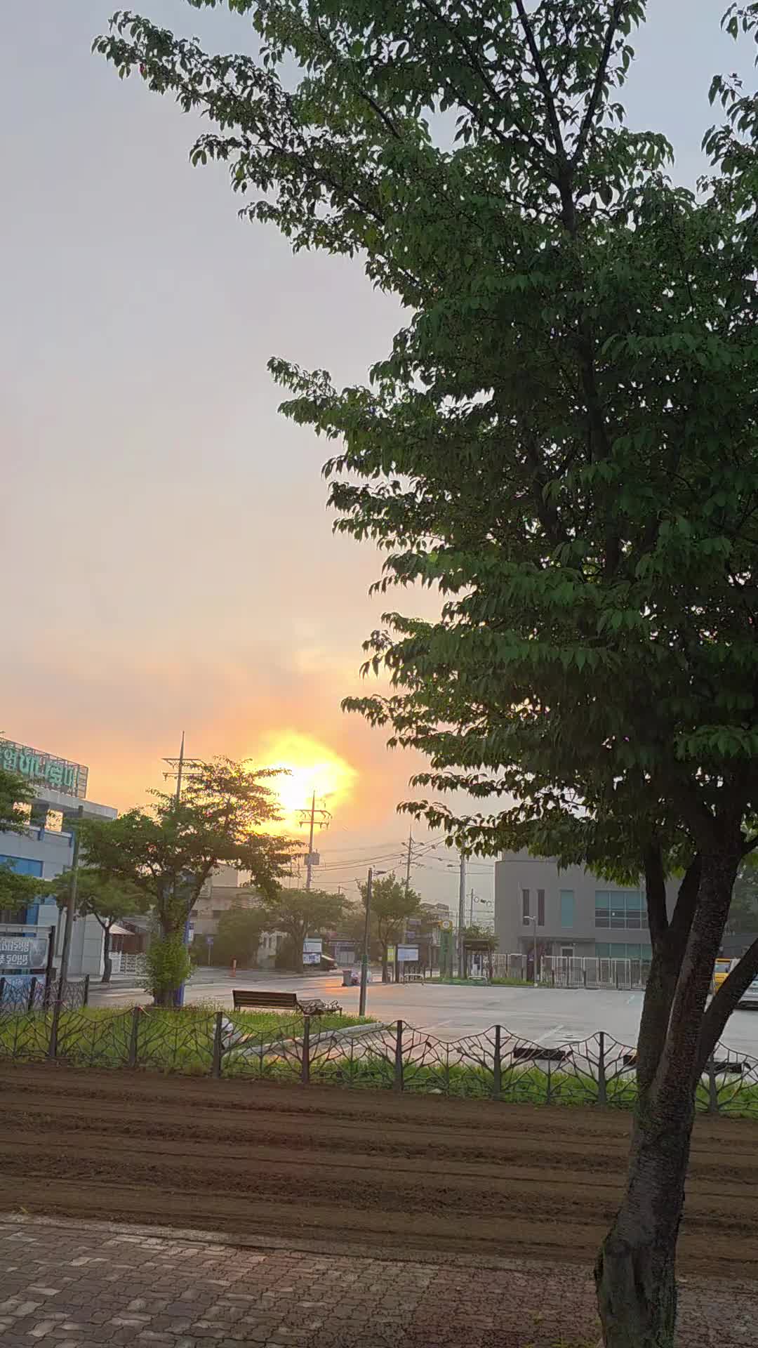 @유튜브 "정선사람들" 안용현