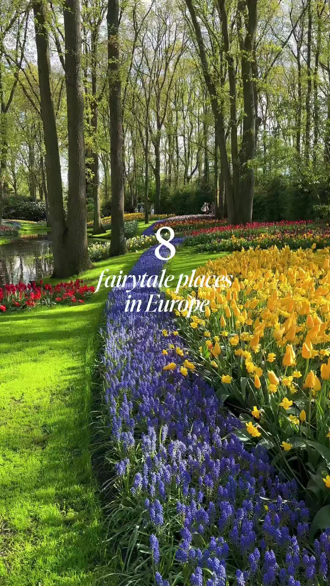 @Alicia ✨ Travel Blogger