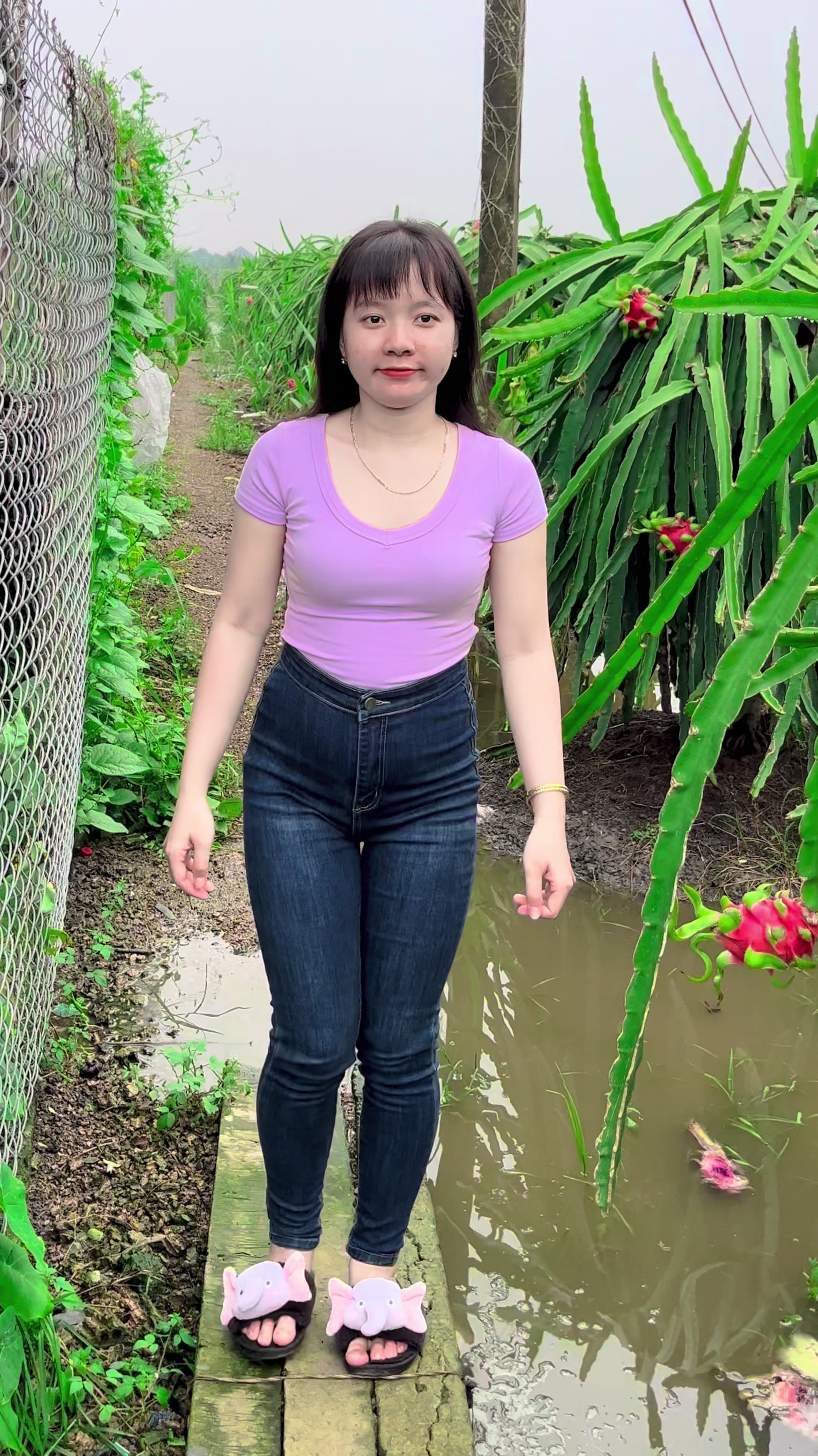 @Cẩm Trúc