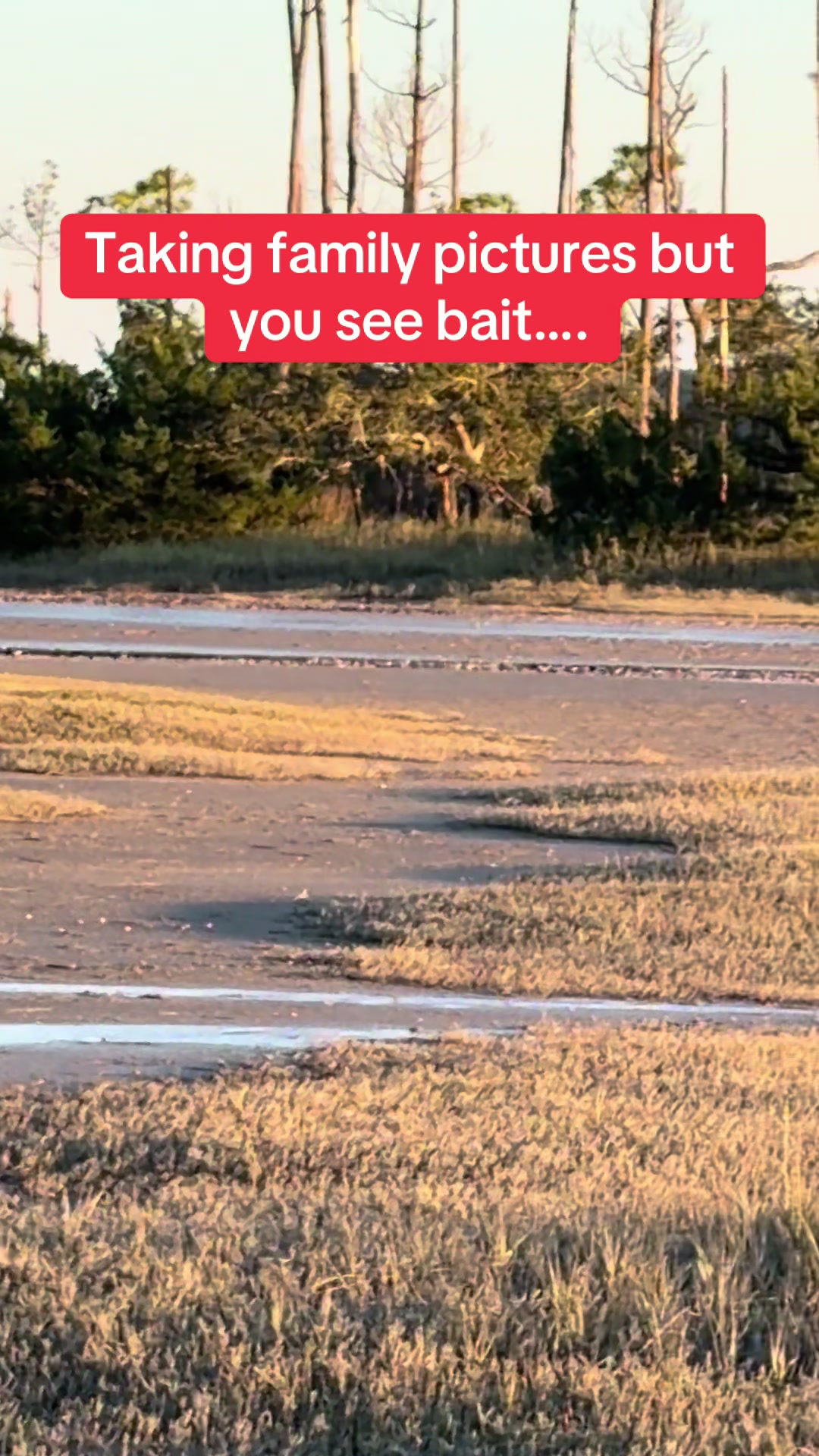 @BeaufortSC_Bait