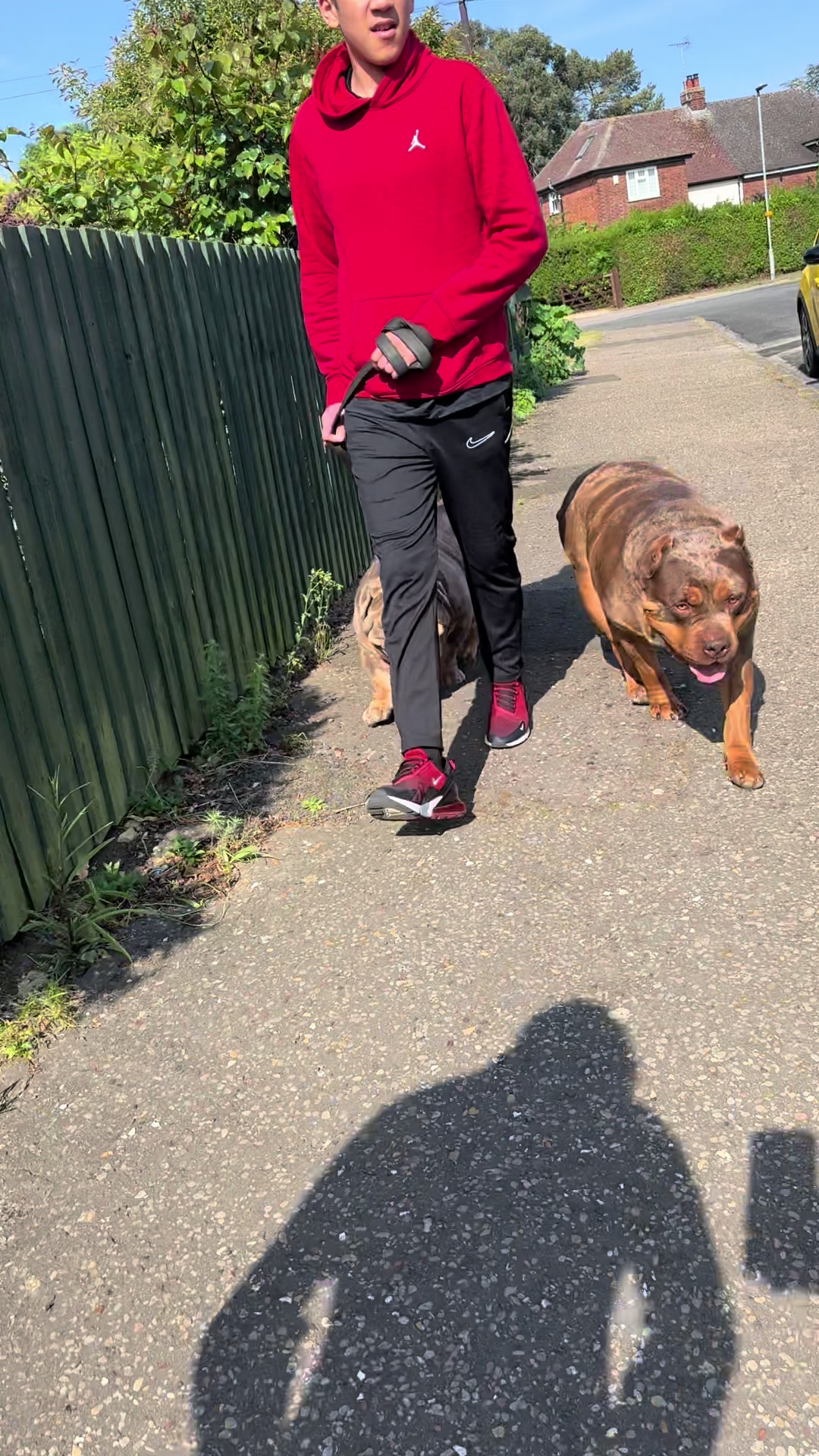 @Tribe Bully Kennels