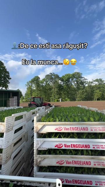 @Rafael