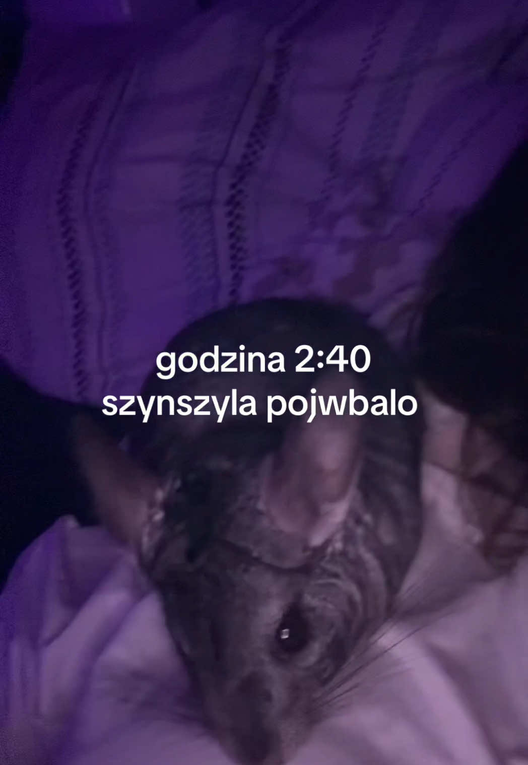 @nicola