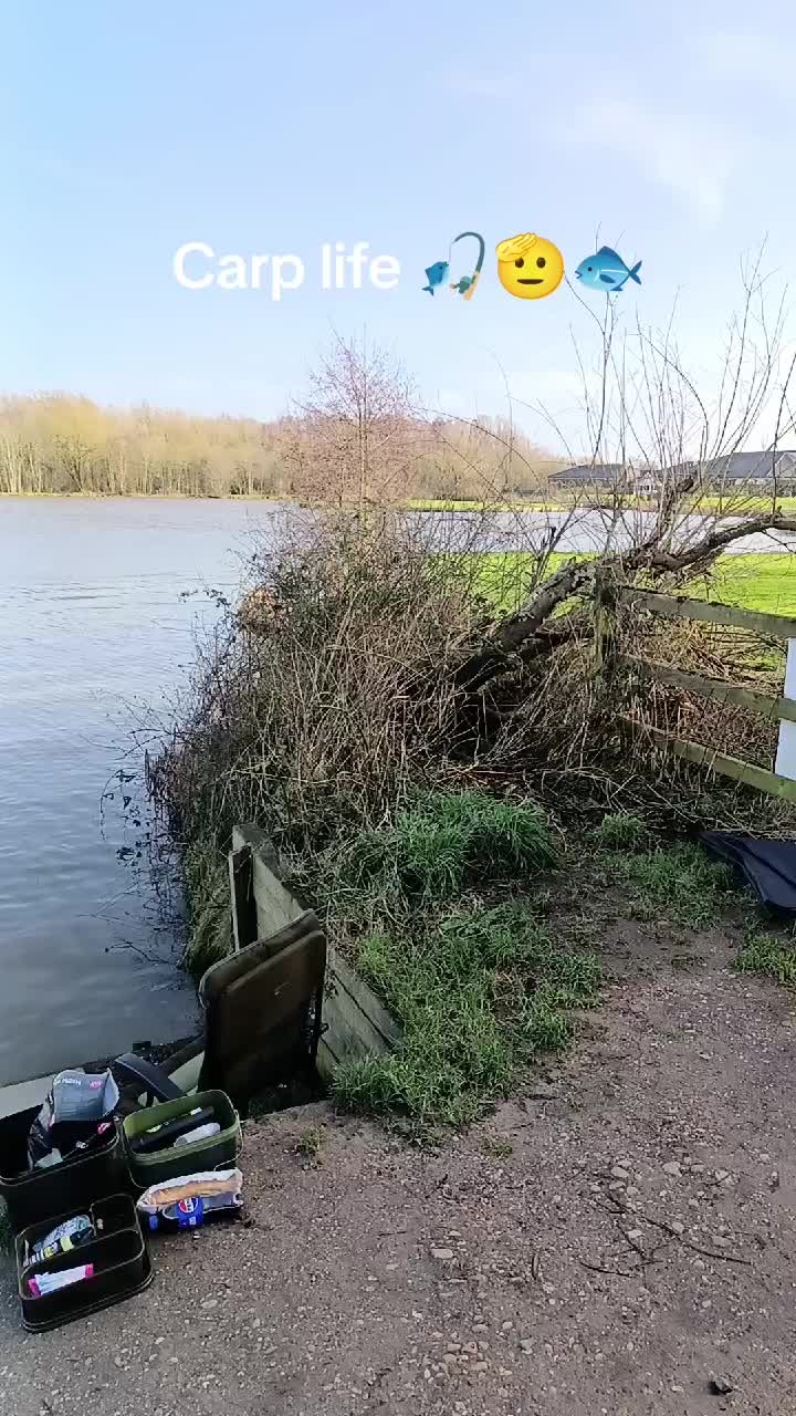 @the_carp_bois