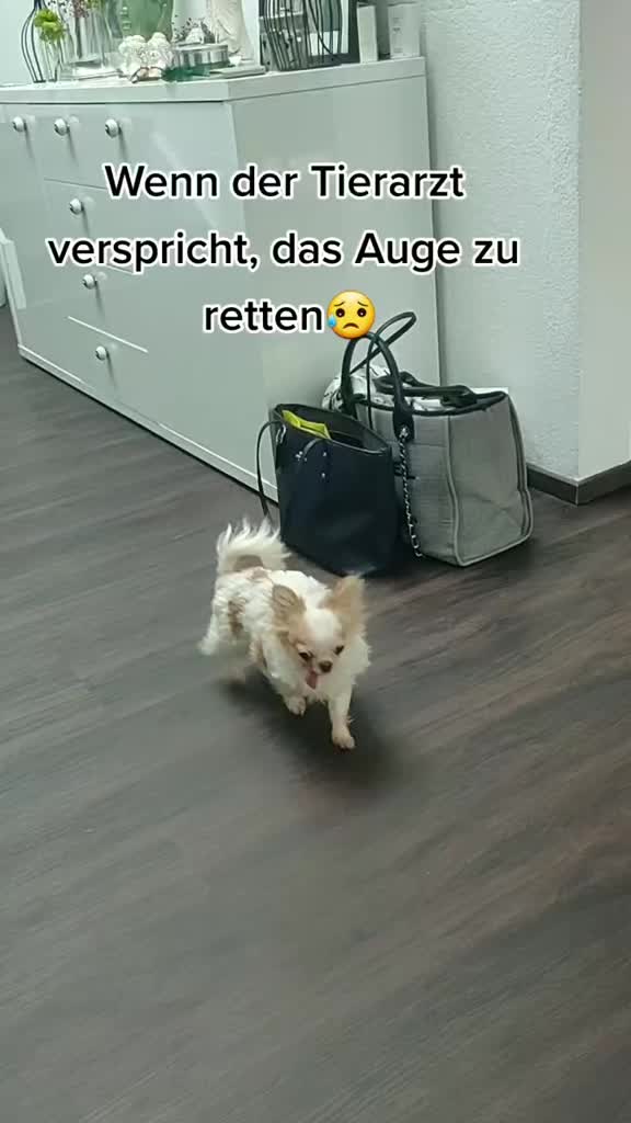 @E.m.m.a 🐶 ❤️