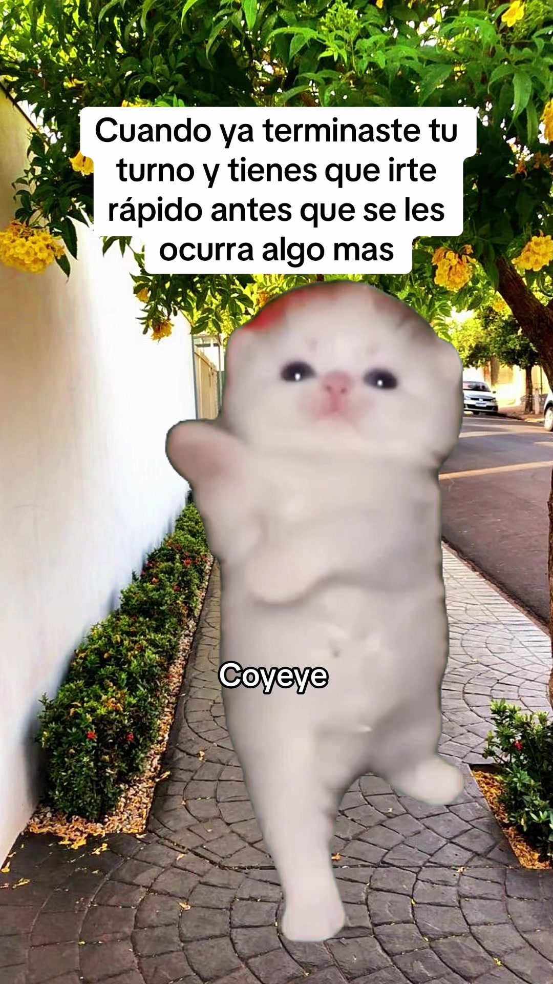 @El Woody 🤠