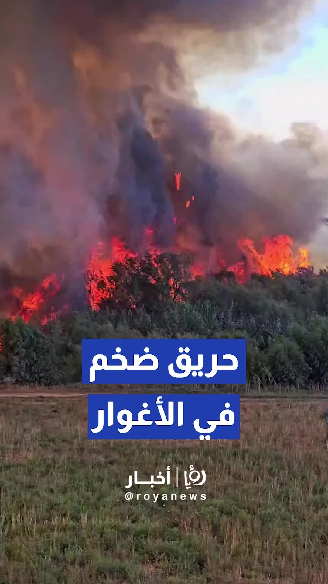 @royanews