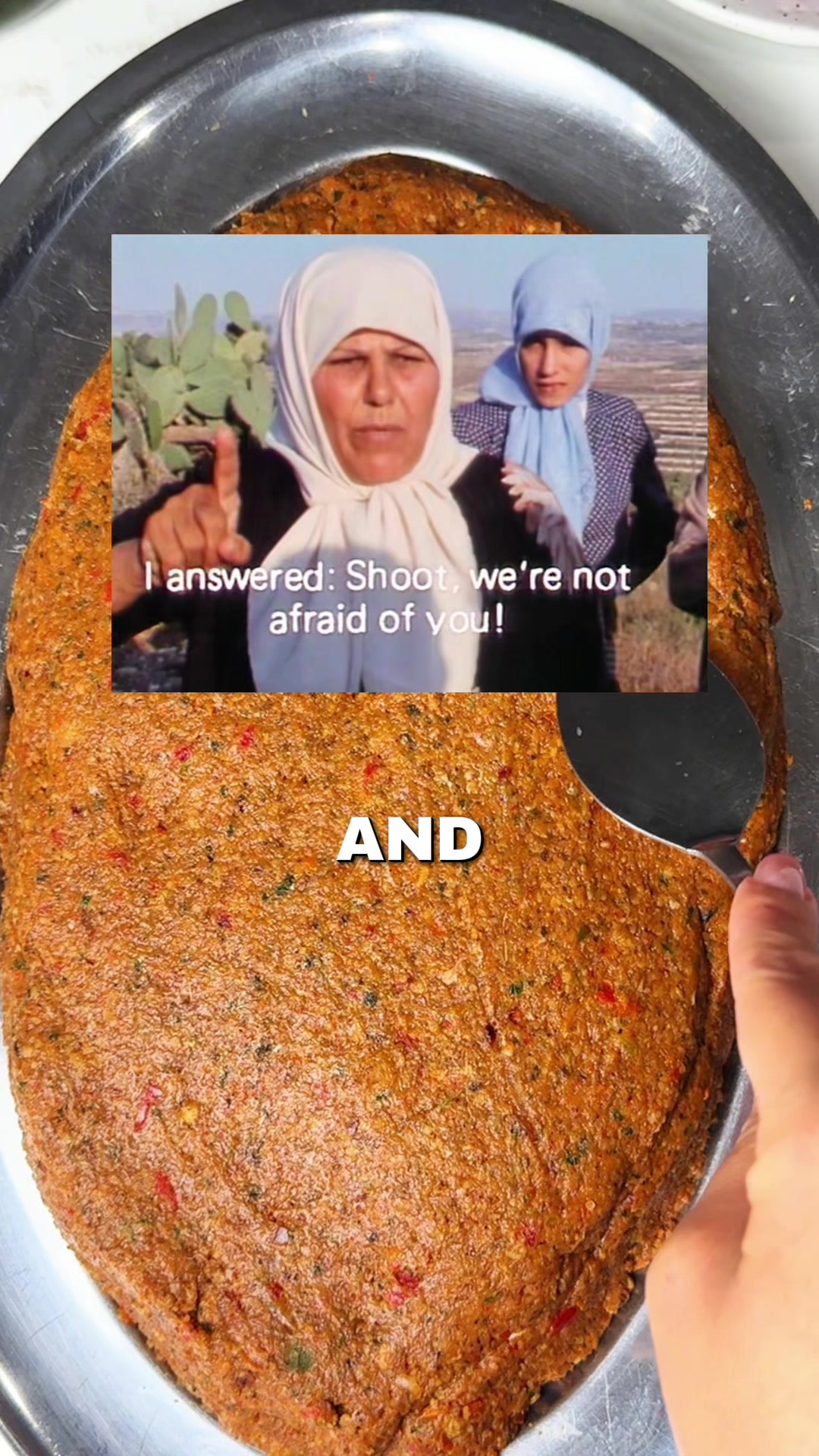 @lebanesefeed