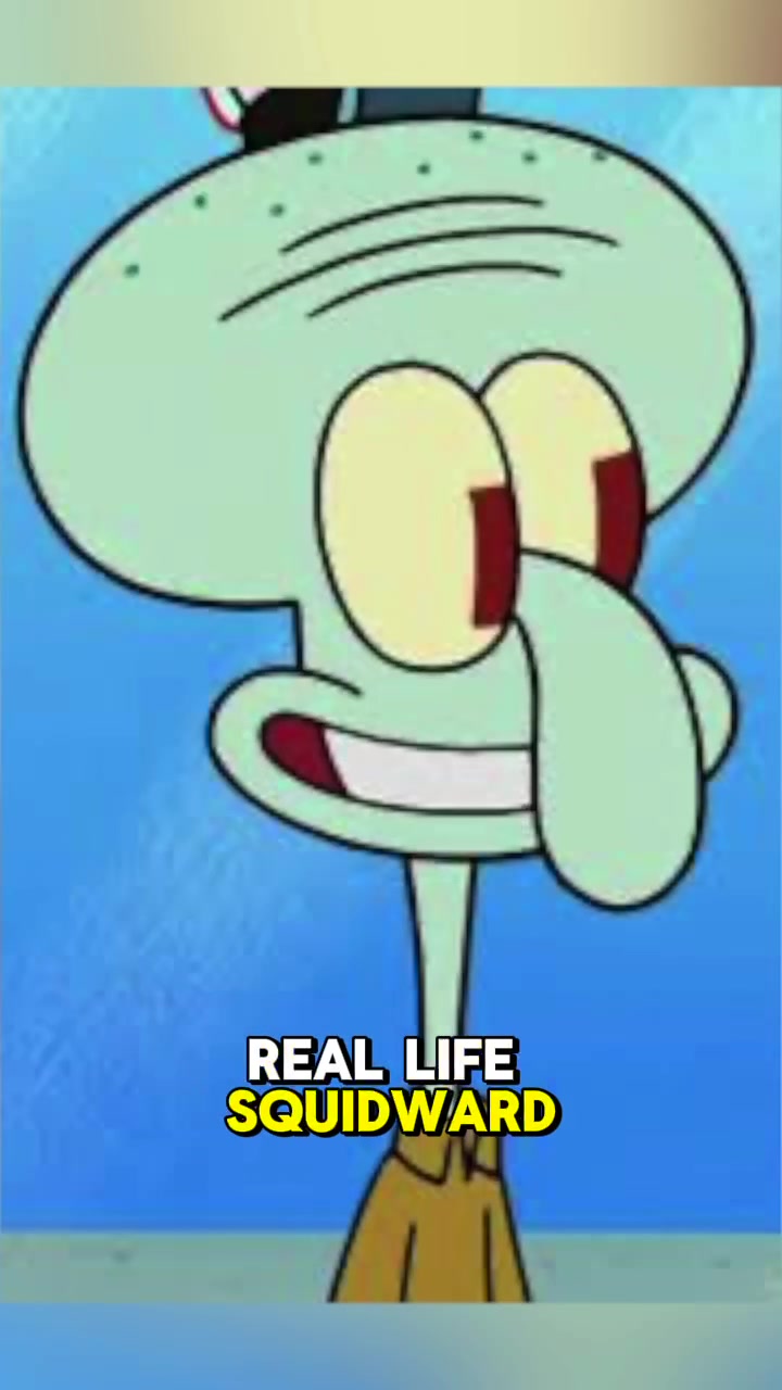 @thehtspod