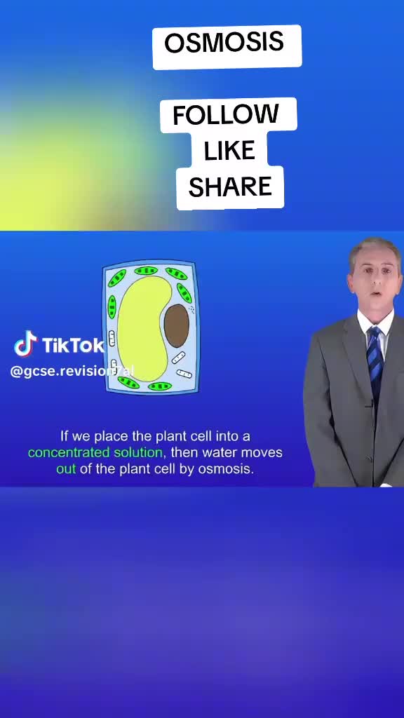 @ryanmarkfans16