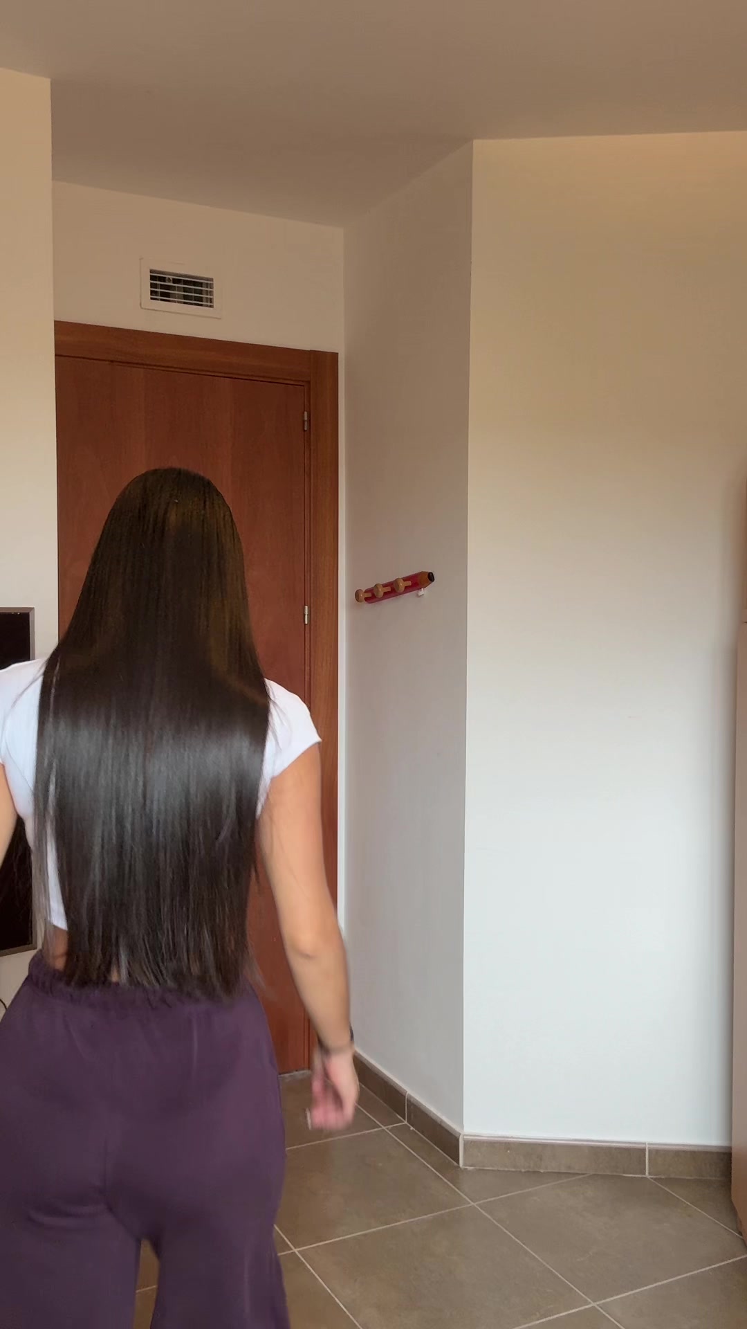 @josangelpacheco 🦩