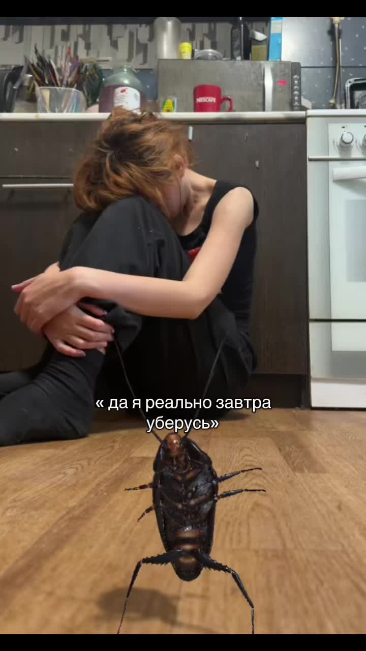 @viiiiii_ka