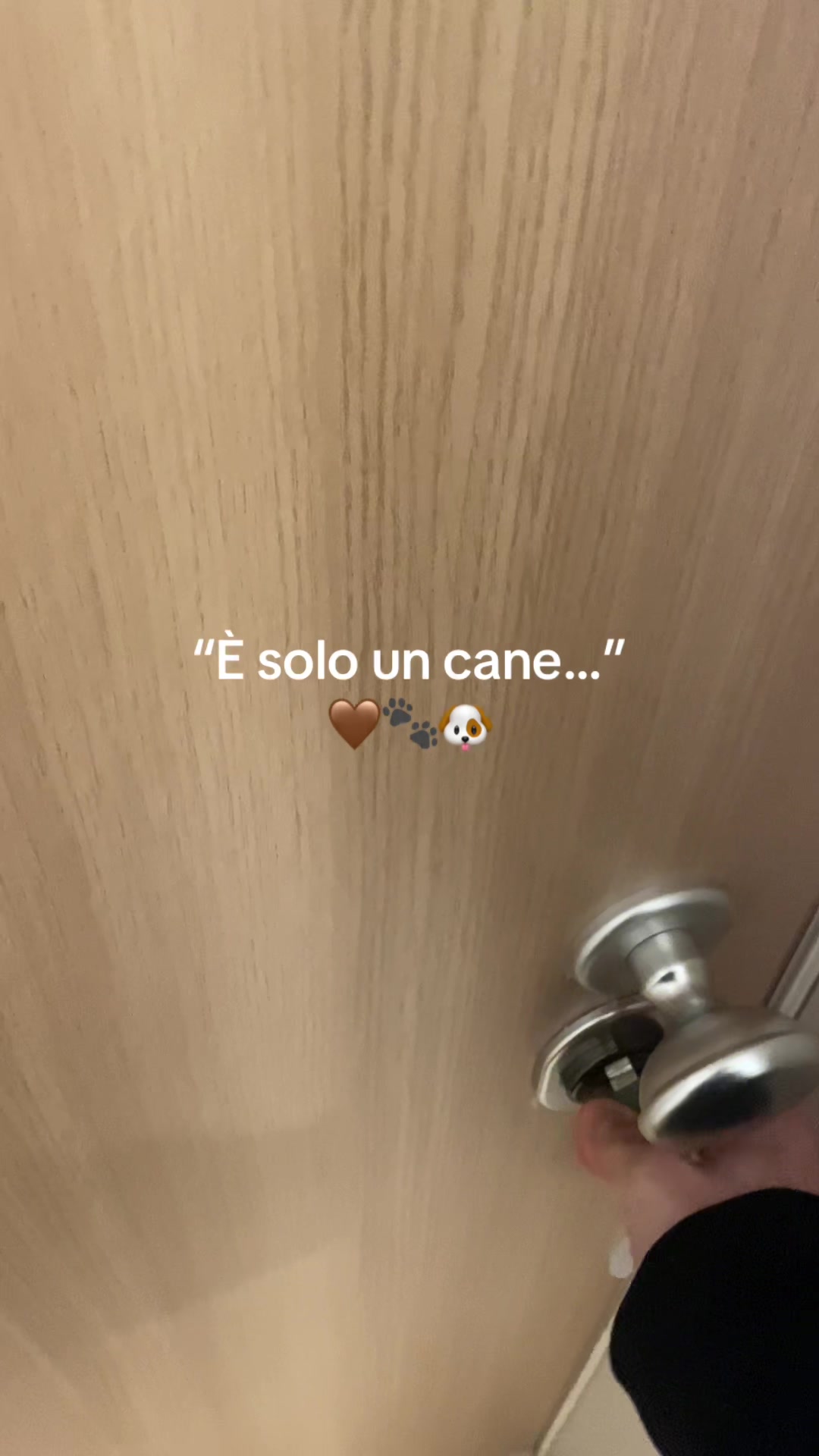 @Antonio Sanò